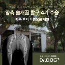 풍산동물병원 이미지