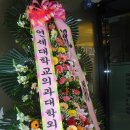 연세송도외과의원 Daum카페