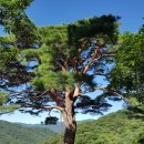 9월 17일(일) 지산 총동창 산악회 제104차 뱀사골 정기산행 이미지