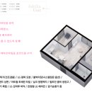 아델리아 이미지