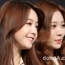 동아사랑 이미지