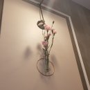 직화구이햇쌈불냉면 | 대전 햇쌈불냉면 둔산동본점 (불냉면 죽을맛, 불비빔냉면 죽을맛, 직화구이)