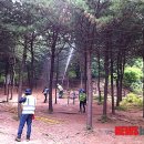 동해-단속-22 이미지