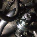 오토오아시스 롯데마트부산키즈점 이미지