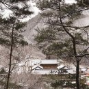 슬기로운 초록생활 이미지