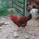 산마을 | 미친 자연 뷰 맛집? 그냥 힐링 그 자체였던 산마을 후기 시작함