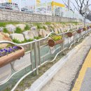 입실초등학교 이미지