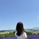 (주)라벤더투어