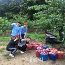 월곡4리 이미지