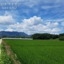 진원면사무소 이미지