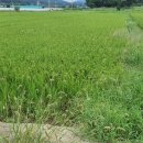 반석원공인중개사사무소 이미지