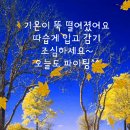 오늘의운세 - 10월19일 이미지