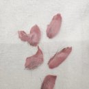 유소현 에스테틱 앤 아카데미 이미지