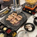 닭코 이미지