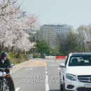 한류월드로+월드고양로 이미지