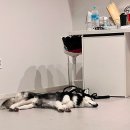 가평더뮤즈펜션 이미지