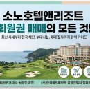 대명앤강산