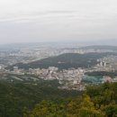 도원장식당