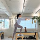 신사 필라테스 조아 JOA Pilates 한달후기 매주 힐링하러 감