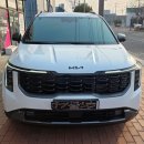 사천카센타 | 카니발 KA4 하이브리드 스노우 화이트 펄 도어가드+전동사이드스텝 시공 완료! install by 모빌K 사천나비