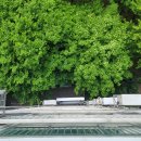 아시아선수촌공원 이미지