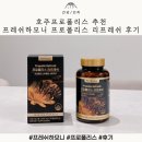 하모니 | 호주프로폴리스 추천, 프레쉬하모니 프로폴리스 리프레쉬 후기