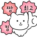 태화타이짬뽕 이미지