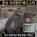 강남 헤드스파 타이니뷰티 두피관리(ft.강남역 탈모)