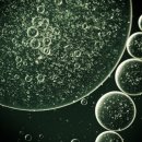 나를 찾아가는 사주명리학 이미지