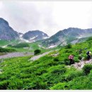 풀잎산장