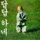 어디메 이미지