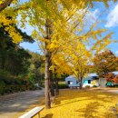 대가야고등학교 이미지