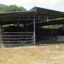 문경축사 이미지