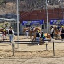 퀸즈승마장 네이버블로그