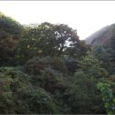 인제자연학교 캠핑장 이미지