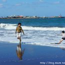 삼양해수욕장 이미지