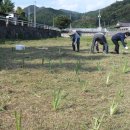 병곡면사무소 이미지