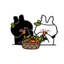 부산챔프복싱 이미지