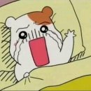 파티룸호수펜션 이미지