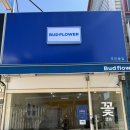 진등2길 | 봉담 무인 꽃집 추천, 버드 플라워 가성비 꽃다발 셀프 포장