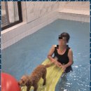 더블루네스 이미지