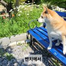 즐거운농장 이미지
