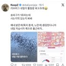 살롱 딜라잇 | 마뿌배 성을 지나 늪을 건넌 6월 일상