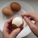 아침식사 이 시간에 꼭 먹었더니 이미지