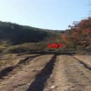 적상면010 네이버블로그