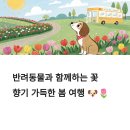 반려동물과함께하는#설렘 이미지