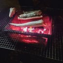 담터 금학캠핑장 이미지