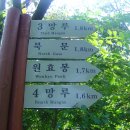 금정-3 티스토리