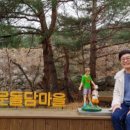 서면사무소(양양) 이미지