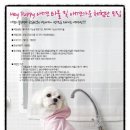 코오롱애견 이미지